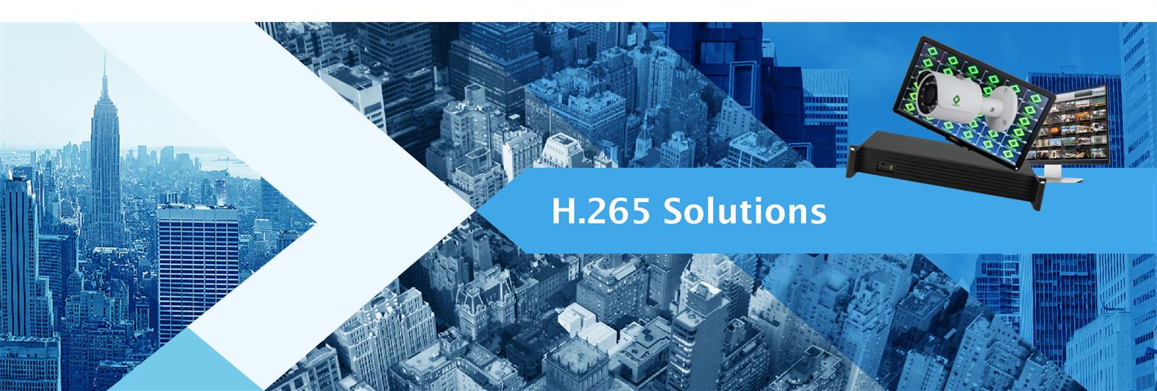 Launches VSENSE H.265 Solution